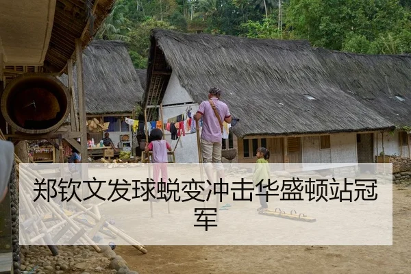 郑钦文发球蜕变冲击华盛顿站冠军