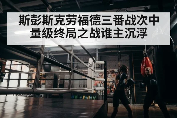 boxer training
